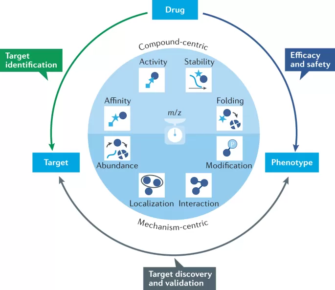 The Role of Proteomics in Drug Development